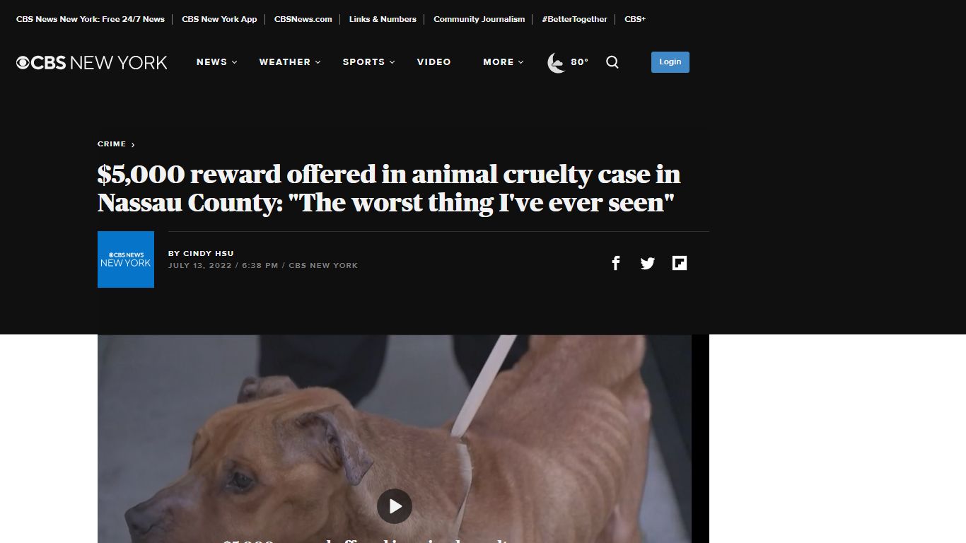 $5,000 reward offered in animal cruelty case in Nassau County: "The ...